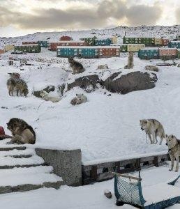 Fictionsby: Goicolea, Anthony